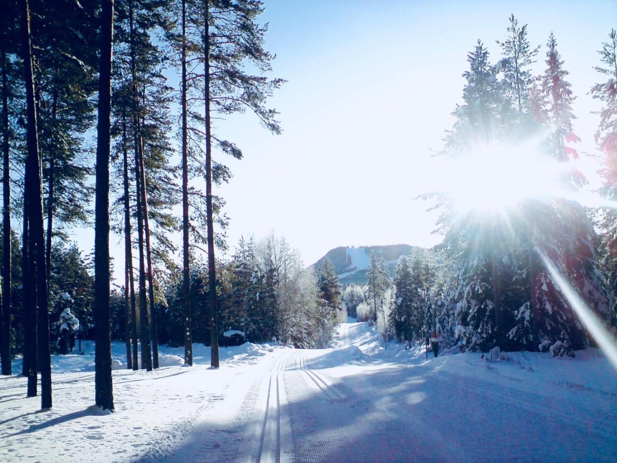 Vasa Ski Lodge Мора Экстерьер фото